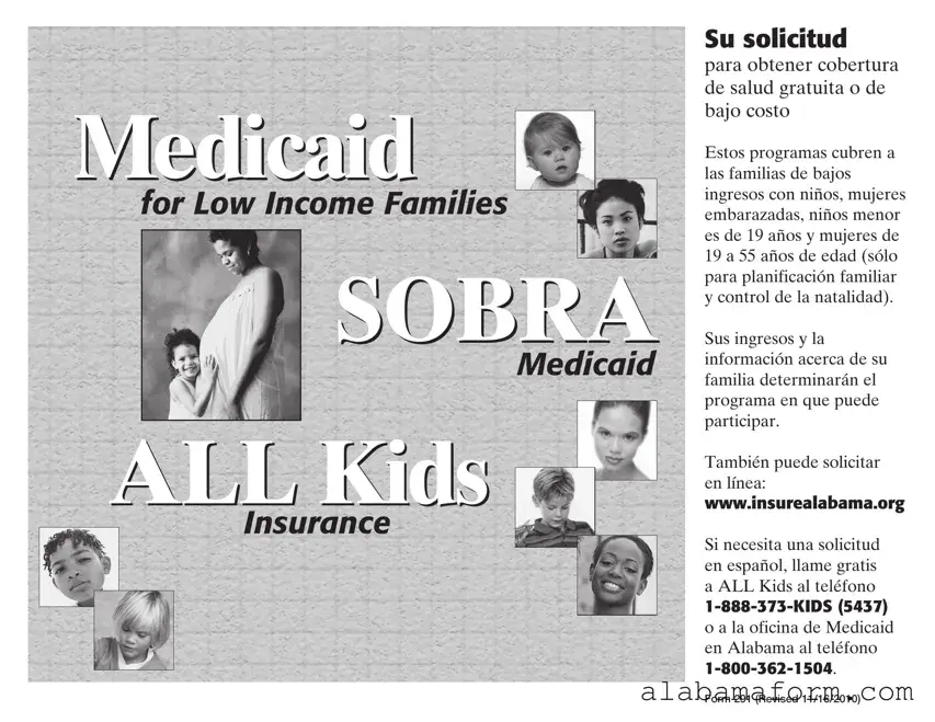 Blank Insure Alabamaorg PDF Template